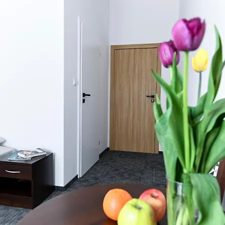 Apartment A&j Mostowa Old Town *